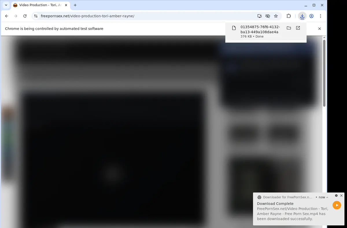 Freepornsexnet Video Downloader screenshot 2