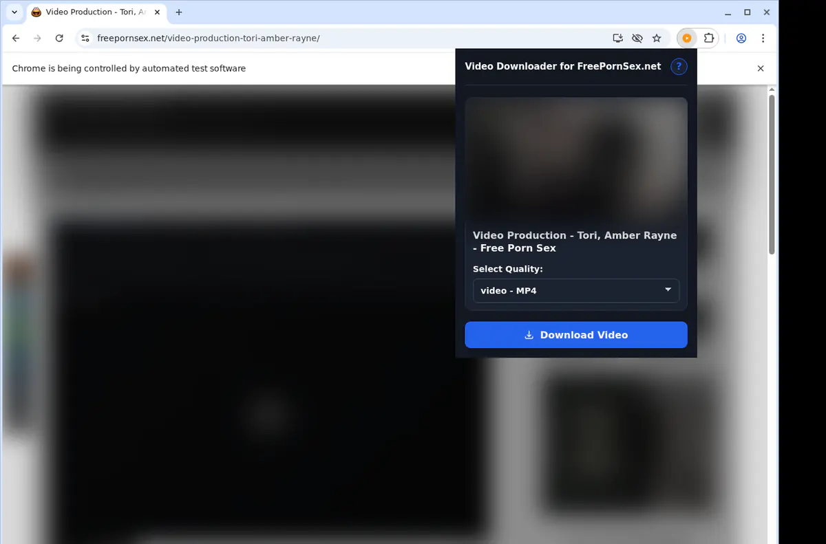 Freepornsexnet Video Downloader screenshot 3